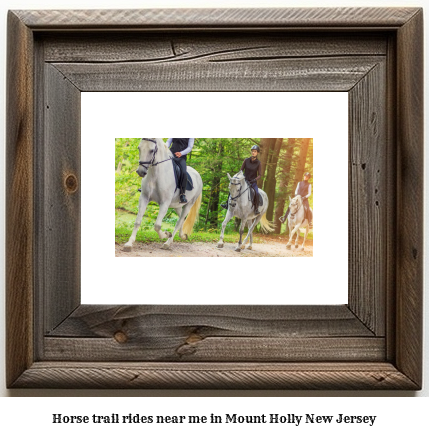 horse trail rides near me in Mount Holly, New Jersey